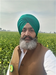 ਤੇਜ਼ ਹਵਾਵਾਂ ਤੇ ਬੇਮੌਸਮੇ ਮੀਂਹ ਦਾ ਕਹਿਰ