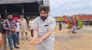 ਬੇਮੌਸਮੇ ਮੀਂਹ ਨੇ ਨਵੀਂ ਅਨਾਜ ਮੰਡੀ ’ਚ ਪ੍ਰਸ਼ਾਸਨ ਦੇ ਪ੍ਰਬੰਧਾਂ ਦੀ ਖੋਲ੍ਹੀ ਪੋਲ