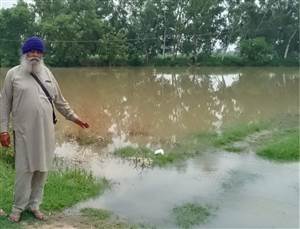 ਕਿਸਾਨਾਂ ਦੇ ਖੇਤਾਂ ’ਚ ਵੜਿਆ ਪਾਣੀ, ਝੋਨੇ ਦੀ ਫ਼ਸਲ ਨੂੰ ਨੁਕਸਾਨ
