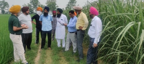 ਗੰਨੇ ਦੀਆਂ ਕਿਸਮਾਂ ਨਿਰੀਖਣ ਲਈ ਗੰਨਾ ਮਾਹਿਰਾਂ ਵੱਲੋਂ ਸਰਹੱਦੀ ਪਿੰਡਾਂ ਦਾ ਦੌਰਾ