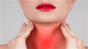 Thyroid :  ਥਾਇਰਾਈਡ ਦੇ ਮਰੀਜ਼ ਵਧਦੇ ਭਾਰ ਨੂੰ ਕੰਟਰੋਲ ਕਰਨ ਲਈ ਇਨ੍ਹਾਂ ਚੀਜ਼ਾਂ ਨੂੰ ਆਪਣੀ ਡਾਈਟ 'ਚ ਕਰਨ ਸ਼ਾਮਲ