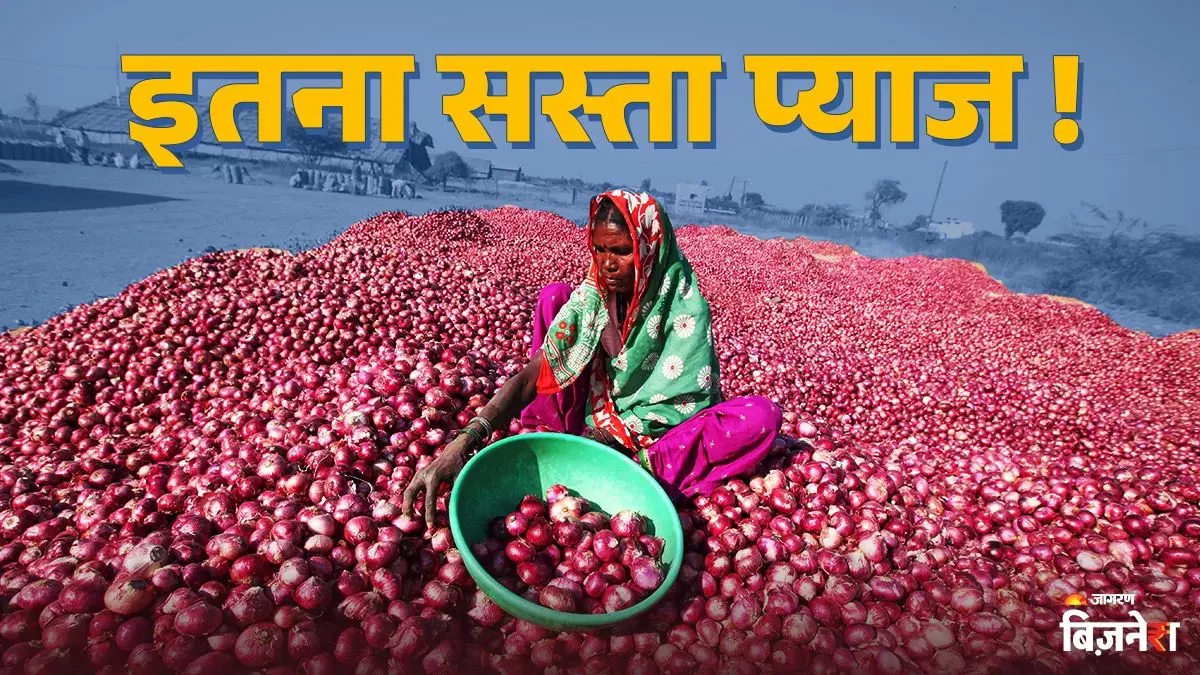ਸਰਕਾਰ ਨੇ ਸ਼ੁਰੂ ਕੀਤੇ ਸਬਸਿਡੀ ਵਾਲੇ ਪਿਆਜ਼ ਵੇਚਣੇ, 50 ਰੁਪਏ 'ਚ ਖਰੀਦ ਸਕੋਗੇ ਇੰਨੇ ਕਿਲੋ, ਜਾਣੇ ਤੁਹਾਡੇ ਸ਼ਹਿਰ 'ਚ ਮਿਲਣਗੇ ਜਾਂ ਨਹੀਂ?
