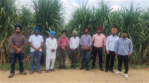 ਕੇਨ ਕਮਿਸ਼ਨਰ ਵੱਲੋਂ ਵੱਖ ਵੱਖ ਪਿੰਡਾਂ ਵਿਚ ਗੰਨੇ ਦੀ ਫ਼ਸਲ ਦਾ ਲਿਆ ਜਾਇਜ਼ਾ
