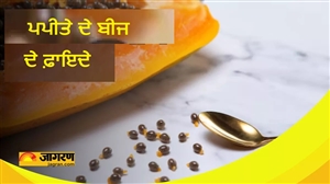 ਪਪੀਤੇ ਦੇ ਬੀਜ ਹਨ ਸਿਹਤ ਲਈ ਵਰਦਾਨ! ਫ਼ਾਇਦੇ ਜਾਣ ਕੇ ਤੁਸੀਂ ਵੀ ਰਹਿ ਜਾਓਗੇ ਹੈਰਾਨ
