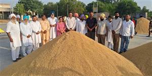ਚੇਅਰਪਰਸਨ ਨੀਤੂ ਕਪੂਰ ਨੇ ਸਾਦਿਕ ਮੰਡੀ ਦਾ ਕੀਤਾ ਦੌਰਾ