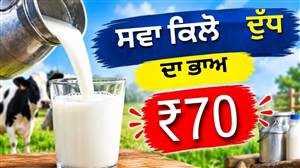 ₹2 ਲਈ 2 ਘੰਟੇ ਦਾ ਇਮਤਿਹਾਨ! ਦੁੱਧ ਦੀ ਸਪਲਾਈ 80% ਘਟੀ; ਦੁੱਧ ਹੋਇਆ ਮਹਿੰਗਾ, ਦੁਸਹਿਰੇ ਦੇ ਤਿਉਹਾਰ 'ਤੇ ਮੰਡਰਾਇਆ ਸੰਕਟ