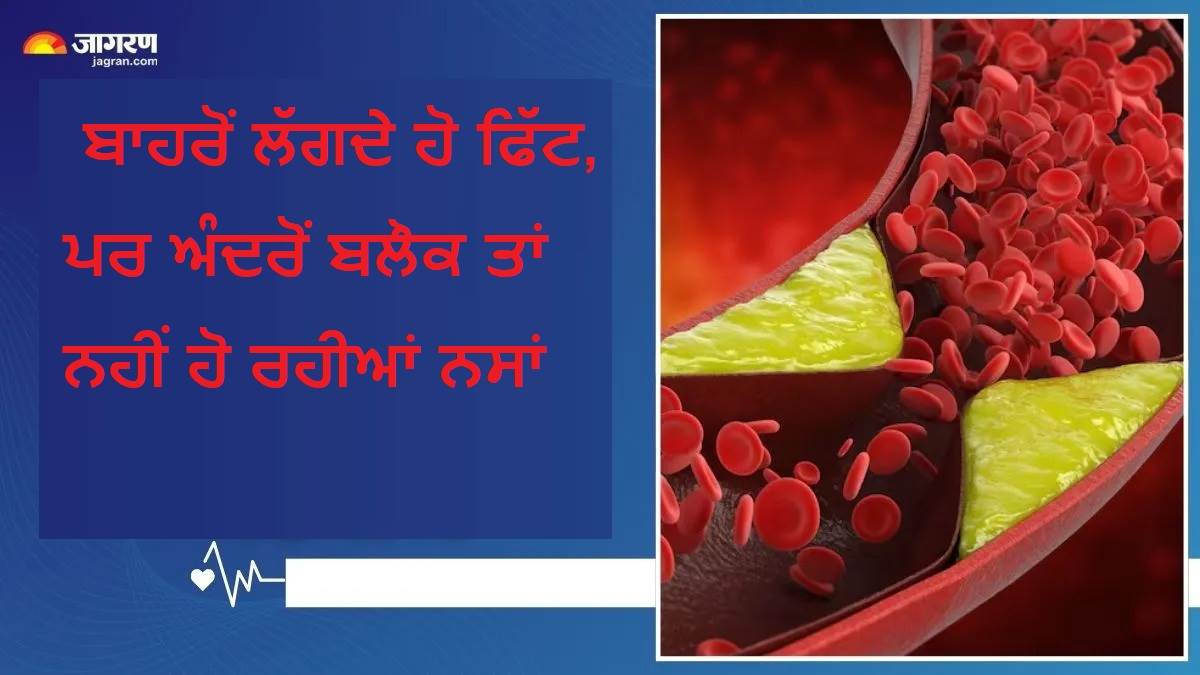 ਬਾਹਰੋਂ ਲੱਗਦੇ ਹੋ ਫਿੱਟ, ਪਰ ਅੰਦਰੋਂ ਬਲੌਕ ਤਾਂ ਨਹੀਂ ਹੋ ਰਹੀਆਂ ਨਸਾਂ? ਪਛਾਣੋ ਹਾਈ ਕੋਲੈਸਟ੍ਰੋਲ ਦੇ 5 ਲੁਕਵੇਂ ਸੰਕੇਤ