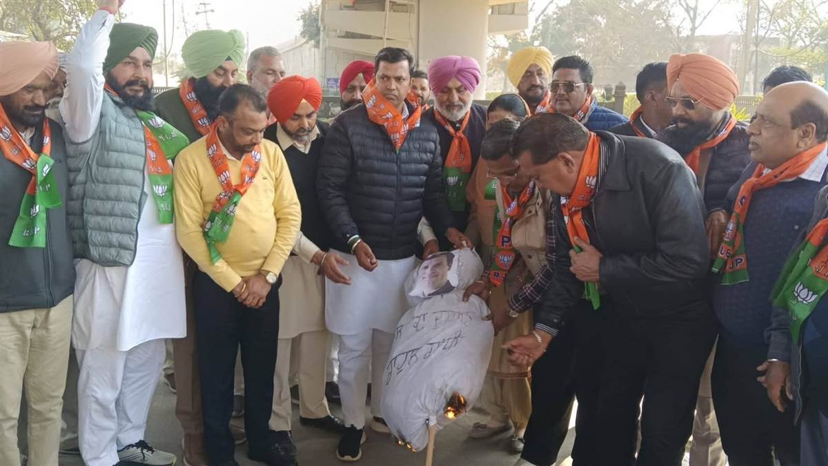 ਭਾਜਪਾਈਆਂ ਨੇ ਰਾਹੁਲ ਗਾਂਧੀ ਦਾ ਫੂਕਿਆ ਪੁਤਲਾ
