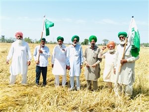 ਕਿਸਾਨ ਆਗੂਆਂ ਨੇ ਪ੍ਰਭਾਵਿਤ ਖੇਤਰ ਦਾ ਕੀਤਾ ਦੌਰਾ