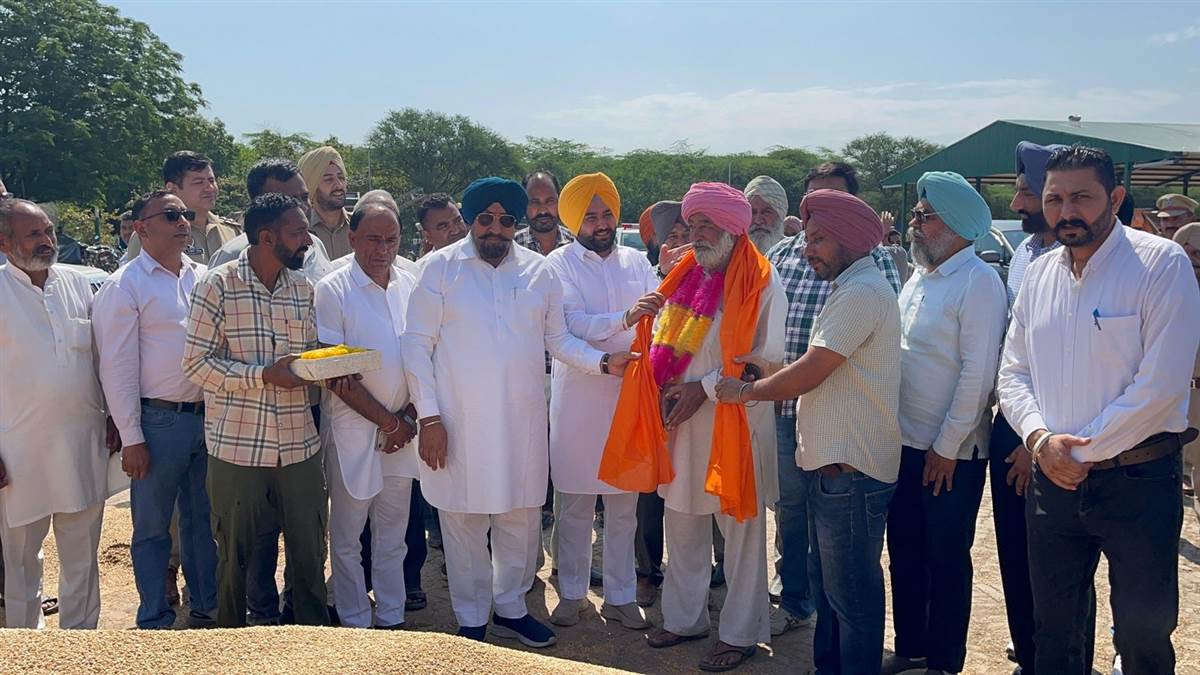ਵਿਧਾਇਕ ਰੰਧਾਵਾ ਨੇ ਕਣਕ ਦੀ ਖ਼ਰੀਦ ਸ਼ੁਰੂ ਕਰਵਾਈ