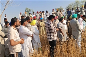 ਗੜੇਮਾਰੀ ਨਾਲ ਫਸਲੀ ਤਬਾਹੀ ਦਾ ਤੁਰੰਤ ਮੁਆਵਜ਼ਾ  ਦੇਵੇ ਸਰਕਾਰ : ਕਿਸਾਨ ਆਗੂ