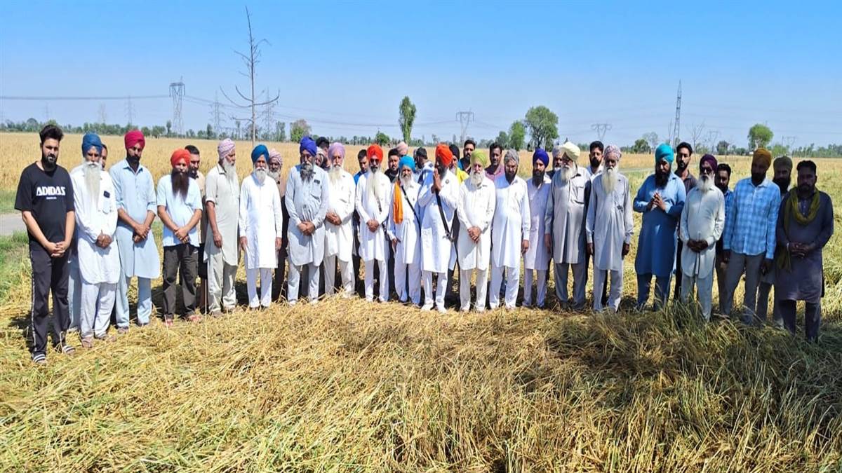 ਗੜੇਮਾਰੀ ਨਾਲ ਨੁਕਸਾਨੀ ਫਸਲ ਦਾ ਮੁਆਵਜ਼ਾ ਮੰਗਿਆ