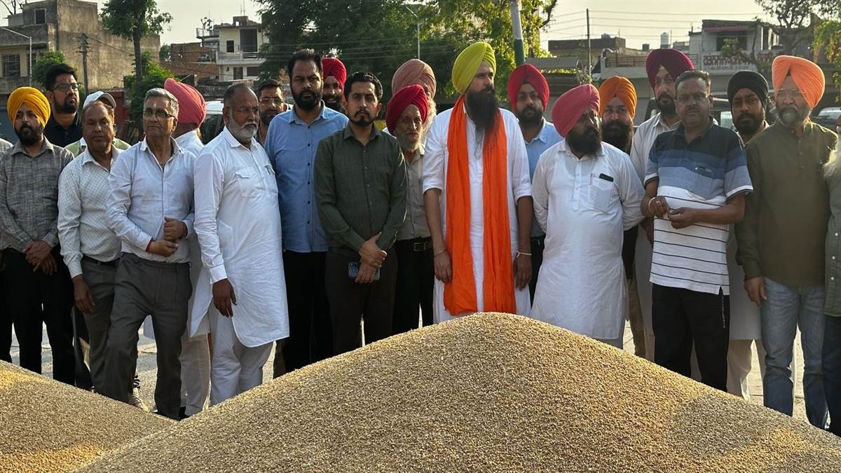 ਲੋਕ ਸਭਾ ਮੈਂਬਰ ਕੰਗ ਤੇ ਵਿਧਾਇਕ ਚੱਢਾ ਨੇ ਕਣਕ ਦੀ ਖ਼ਰੀਦ ਕਰਵਾਈ ਸ਼ੁਰੂ