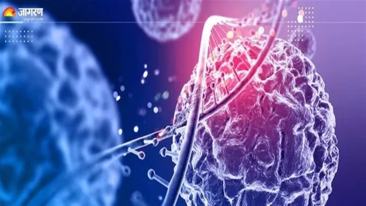 ਸਰੀਰ ’ਚ ਦਿਖਣ ਵਾਲੇ ਇਹ 5 ਸੰਕੇਤ ਨਹੀਂ ਹਨ ਮਾਮੂਲੀ, ਕੈਂਸਰ ਦੇ ਹੋ ਸਕਦੇ ਹਨ ਸ਼ੁਰੂਆਤੀ ਲੱਛਣ
