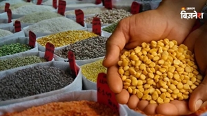 ਮੁੜ ਵਧਣ ਵਾਲੀਆਂ ਹਨ ਦਾਲਾਂ ਦੀਆਂ ਕੀਮਤਾਂ? El Nino ਦੇ ਖਦਸ਼ੇ ਵਿਚਾਲੇ ਮੌਜੂਦਾ ਬਫਰ ਸਟਾਕ ਨੂੰ ਲੈ ਕੇ ਸੀਨੀਅਰ ਅਧਿਕਾਰੀ ਨੇ ਦਿੱਤੀ ਵੱਡੀ ਜਾਣਕਾਰੀ