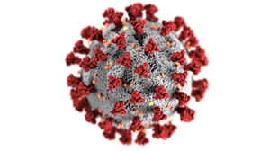 Coronavirus: ਦੇਸ਼ ਦੇ 10 ਸੂਬਿਆਂ 'ਚ ਮਿਲੇ ਕੋਰੋਨਾ ਦੇ ਨਵੇਂ ਰੂਪਾਂ ਦੇ 69 ਮਾਮਲੇ, ਇਜ਼ਰਾਈਲੀ ਵਿਗਿਆਨੀ ਨੇ ਪ੍ਰਗਟਾਈ ਚਿੰਤਾ