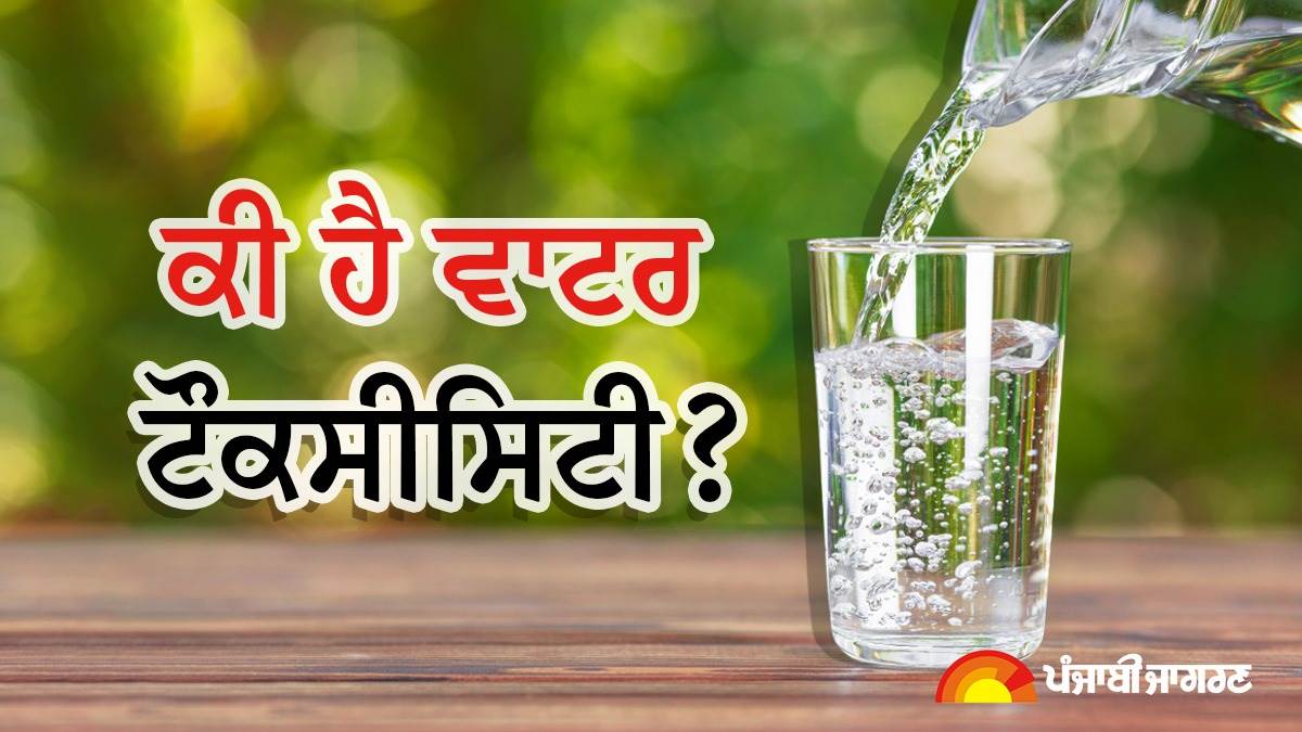 Water Toxicity : ਜ਼ਿਆਦਾ ਪਾਣੀ ਪੀਣ ਨਾਲ ਹੋਈ ਔਰਤ ਦੀ ਮੌਤ, ਜਾਣੋ ਕੀ ਹੈ ਵਾਟਰ ਟੌਕਸੀਸਿਟੀ ਤੇ ਇਸਦੇ ਕਾਰਨ