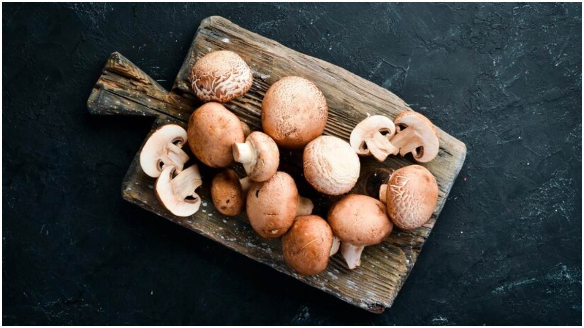 Mushroom Side Effects ਮਾਈਗ੍ਰੇਨ ਤੋਂ ਲੈ ਕੇ ਪਾਚਨ ਨਾਲ ਜੁੜੀਆਂ ਸਮੱਸਿਆਵਾਂ ਤਕ