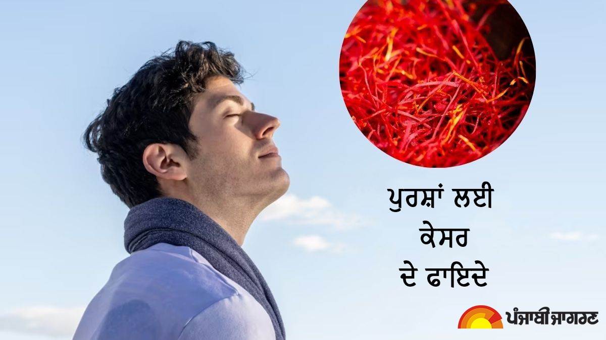 Saffron Benefits for Men ਬਾਂਝਪਨ ਤੋਂ ਲੈ ਕੇ ਤਣਾਅ ਤਕ, ਪੁਰਸ਼ਾਂ ਲਈ ਵਰਦਾਨ