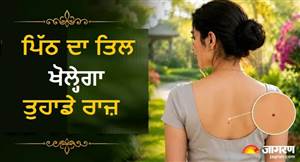 ਪਿੱਠ ਦੇ ਵਿਚਕਾਰ ਤਿਲ ਵਾਲੇ ਹੁੰਦੇ ਹਨ ਅਮੀਰ ਤੇ ਜ਼ਿੱਦੀ, ਜਾਣੋ ਉੱਪਰਲੇ ਤੇ ਹੇਠਲੇ ਹਿੱਸੇ ਦੇ ਤਿਲਾਂ ਦਾ ਰਹੱਸ