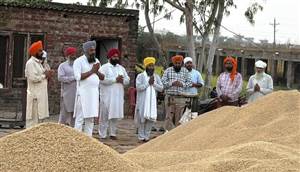ਮੰਡੀ ’ਚ ਝੋਨੇ ਦੀ ਆਮਦ ਸ਼ੁਰੂ ਹੋਣ ’ਤੇ ਕੀਤੀ ਅਰਦਾਸ