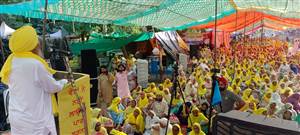 ਕਿਸਾਨਾਂ ਨੇ ਡੀਸੀ ਦਫਤਰ ਅੱਗੇ ਲਾਇਆ ਧਰਨਾ, ਨਾਅਰੇਬਾਜ਼ੀ ਕੀਤੀ