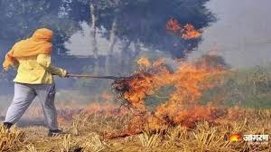 AQI: ਬਠਿੰਡਾ, ਖੰਨਾ ਤੇ ਜਲੰਧਰ ਦੀ ਹਵਾ ਸਭ ਤੋਂ ਵੱਧ ਪ੍ਰਦੂਸ਼ਿਤ, 2,839 ਹੋਏ ਪਰਾਲੀ ਸਾੜਨ ਦੇ ਕੁੱਲ ਮਾਮਲੇ