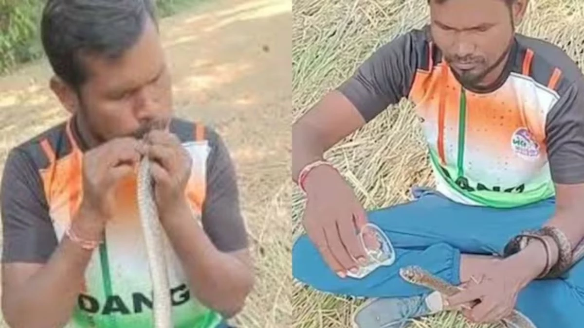 ਹੈਰਾਨੀਜਨਕ ! ਮਰਦੇ ਹੋਏ ਸੱਪ ਨੂੰ ਨੌਜਵਾਨ ਨੇ ਮੂੰਹ ਨਾਲ ਸਾਹ ਦੇ ਬਚਾਇਆ, ਸਾਹਮਣੇ ਆਈ ਵੀਡੀਓ ਨੇ ਛੂਹ ਲਿਆ ਦਿਲ