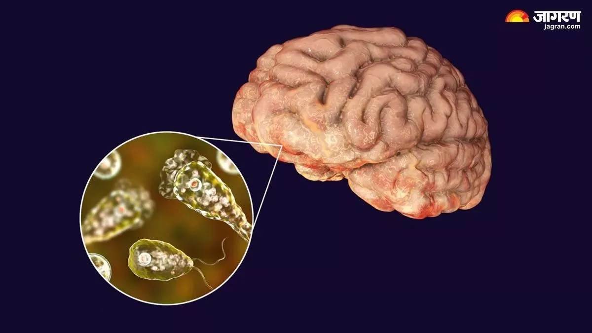 ਗੰਭੀਰ ਬਿਮਾਰੀ ਨੇ ਕੇਰਲ 'ਚ ਮਚਾਈ ਦਹਿਸ਼ਤ, ਇਸ ਸਾਲ ਹੁਣ ਤੱਕ ਹੋਈਆਂ 42 ਮੌਤਾਂ;  ਸਿੱਧੇ ਤੌਰ 'ਤੇ ਦਿਮਾਗ 'ਤੇ ਬਿਮਾਰੀ ਕਰਦੀ ਹੈ ਹਮਲਾ