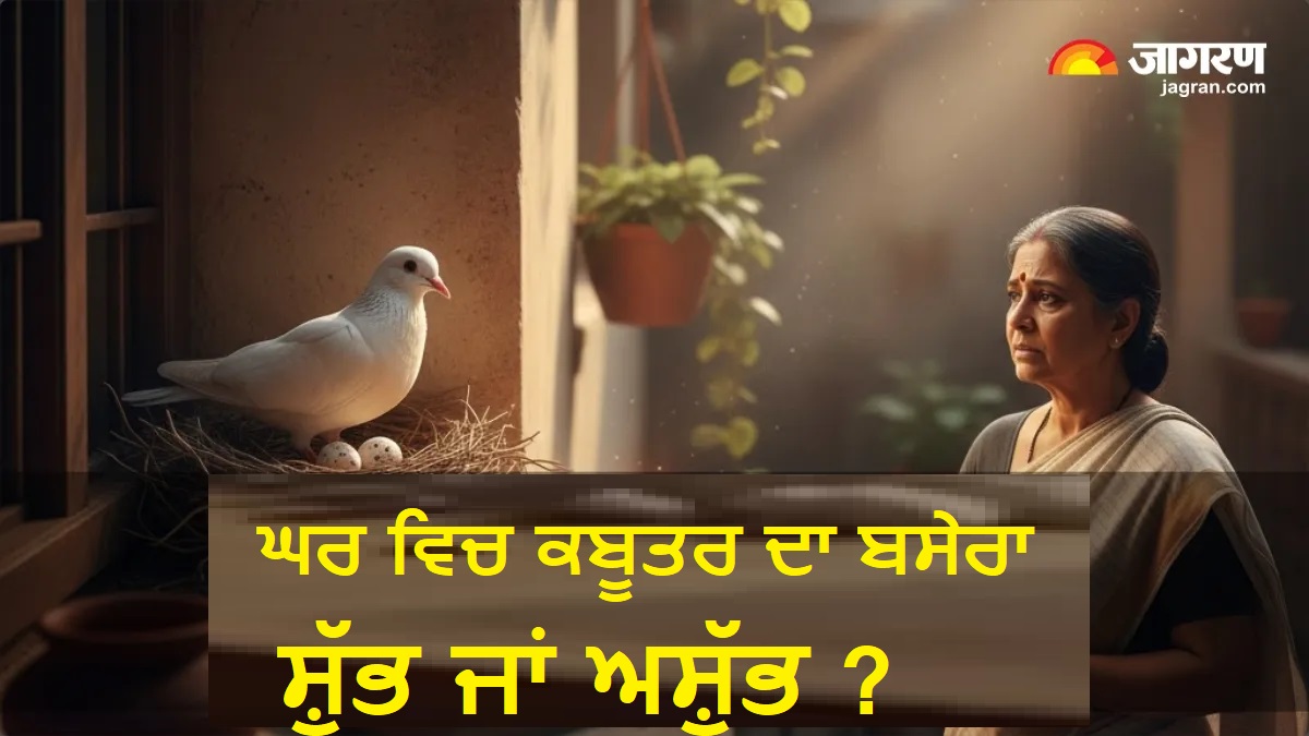 ਕੀ ਤੁਹਾਡੇ ਵੀ ਘਰ ਵਿਚ ਹੈ ਕਬੂਤਰਾਂ ਦਾ ਵਸੇਬਾ ? ਰਾਹੂ ਦਾ ਸੰਕੇਤ ਜਾਂ ਲਕਸ਼ਮੀ ਦੀ ਕਿਰਪਾ ? ਦੂਰ ਕਰ ਲਓ ਆਪਣੀ ਦੁਬਿਧਾ