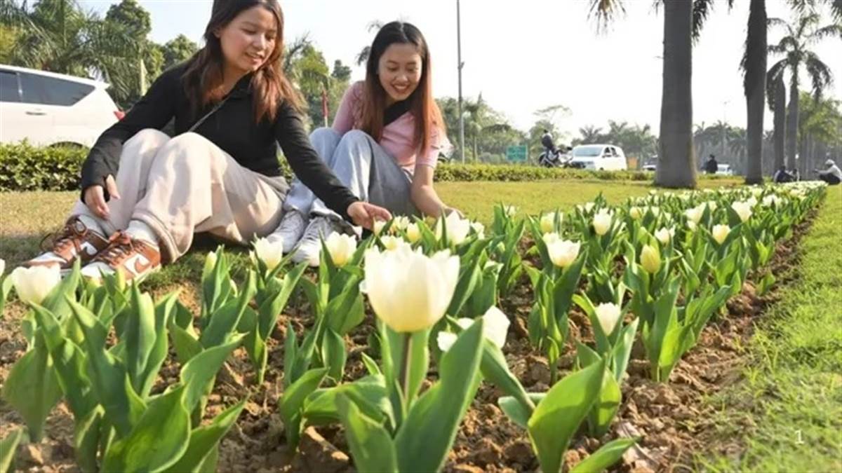Delhi Weather :  ਦਿੱਲੀ 'ਚ ਮਹਿਸੂਸ ਹੋਣ ਲੱਗੀ ਗਰਮੀ, ਤਾਪਮਾਨ 25 ਡਿਗਰੀ ਸੈਲਸੀਅਸ ਨੂੰ ਕਰ ਗਿਆ ਪਾਰ ; ਆਉਣ ਵਾਲੇ ਦਿਨਾਂ 'ਚ ਇਸ ਤਰ੍ਹਾ ਦਾ ਰਹੇਗਾ ਮੌਸਮ ?