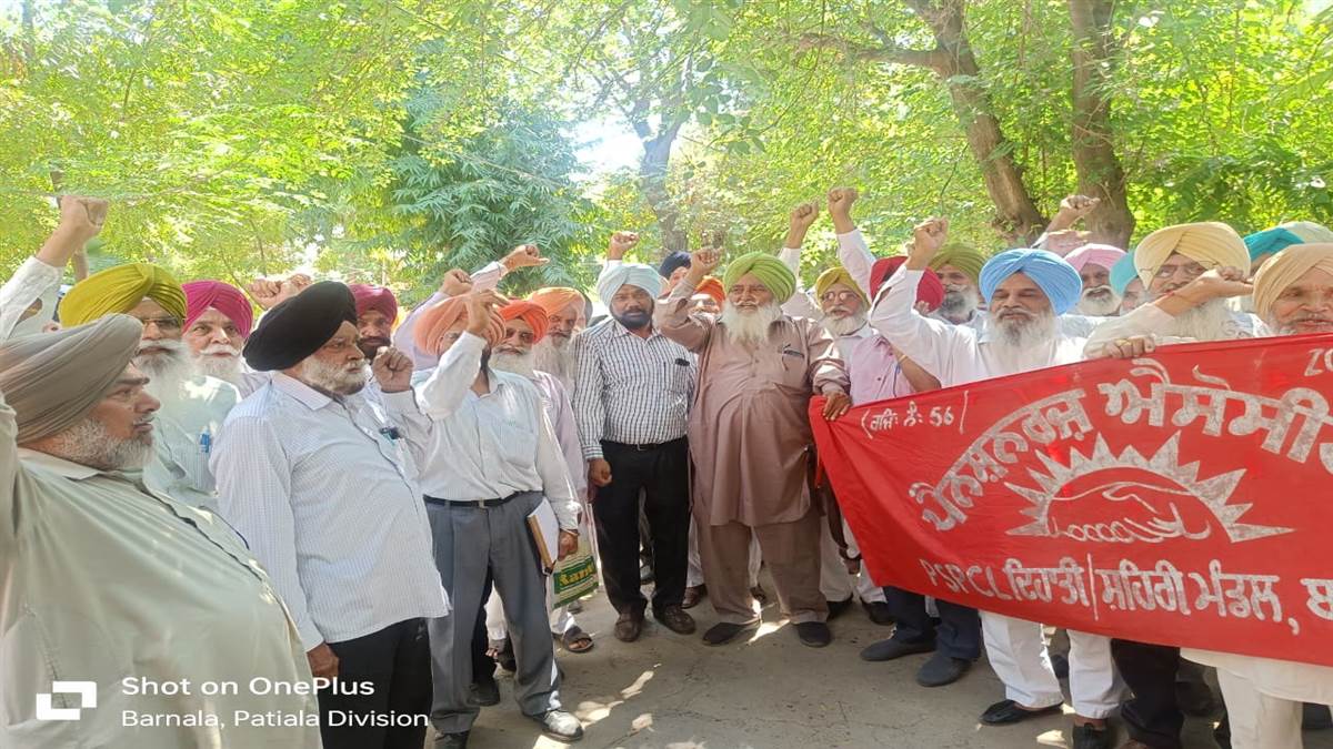ਪਾਵਰਕਾਮ ਪੈਨਸ਼ਨਰਜ਼ ਐਸੋ. ਨੇ ਕੀਤਾ ਰੋਸ ਪ੍ਰਦਰਸ਼ਨ