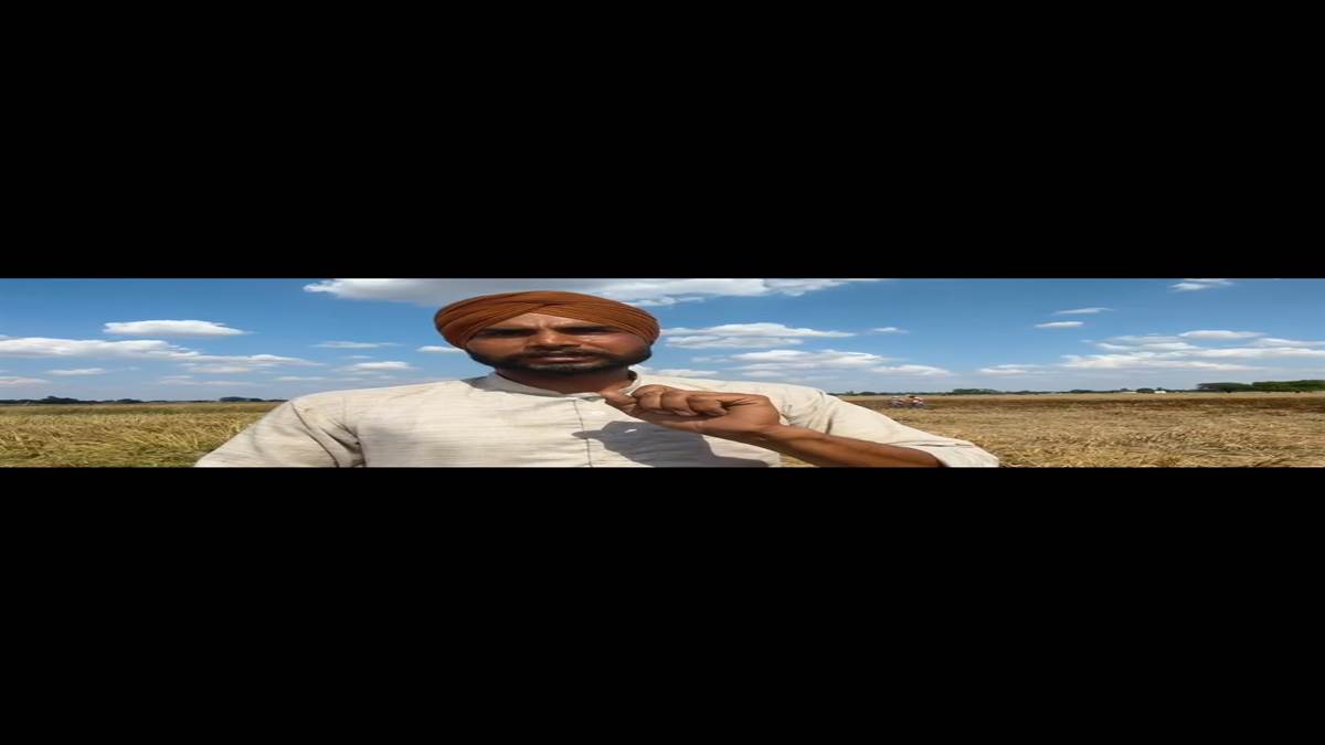 ਢਿੱਲੀਆਂ ਤਾਰਾਂ ਕਾਰਨ ਕਣਕ ਦੀ ਫ਼ਸਲ ਨੂੰ ਲੱਗੀ ਅੱਗ