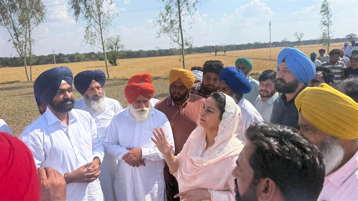 ਕਿਸਾਨਾਂ ਨੂੰ 50 ਹਜ਼ਾਰ ਰੁਪਏ ਪ੍ਰਤੀ ਏਕੜ ਮੁਆਵਜ਼ਾ ਦਿੱਤਾ ਜਾਵੇ : ਹਰਸਿਮਰਤ ਕੌਰ ਬਾਦਲ