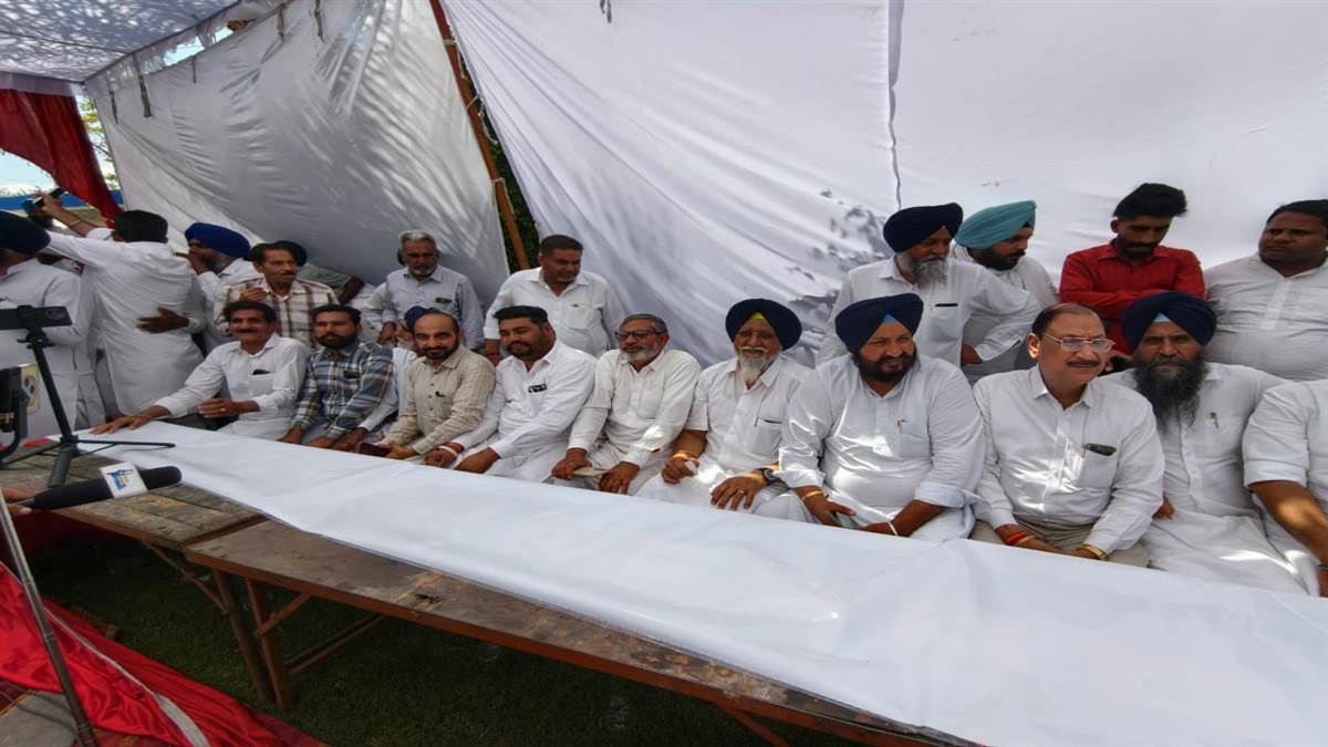 ਨੌਜਵਾਨ ਵਰਗ ਨੂੰ ਅਕਾਲੀ ਦਲ ਨਾਲ ਜੋੜਿਆ ਜਾਵੇਗਾ : ਅਸ਼ੋਕ ਅਨੇਜਾ