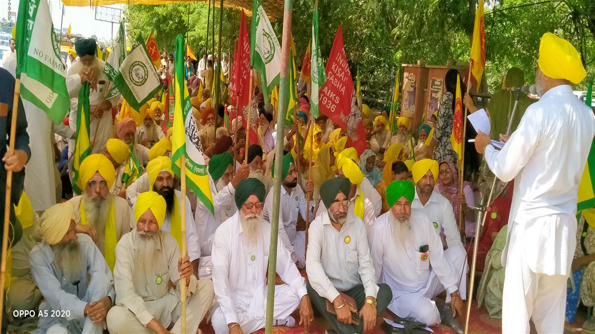 ਸੰਯੁਕਤ ਕਿਸਾਨ ਮੋਰਚਾ ਨੇ ਡੀਸੀ ਦਫ਼ਤਰ ਅੱਗੇ ਕੀਤਾ ਰੋਸ ਮੁਜ਼ਾਹਰਾ