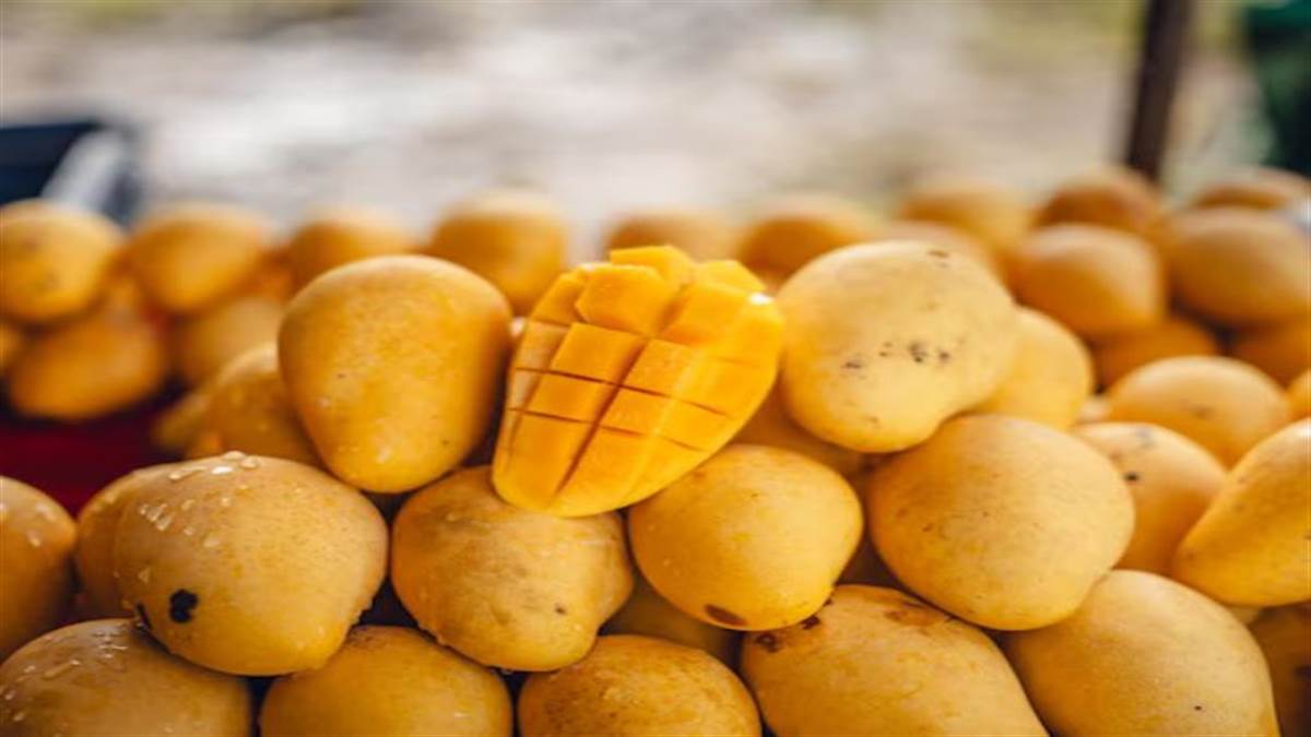 ਕਿਤੇ ਤੁਸੀਂ ਵੀ ਤਾਂ ਨਹੀਂ ਖਾ ਰਹੇ ਕੈਮੀਕਲ ਨਾਲ ਪੱਕੇ ਅੰਬ? ਇੰਝ ਕਰੋ ਅਸਲੀ-ਨਕਲੀ ਦੀ ਪਛਾਣ ਤੇ ਜਾਣੋ ਕੀ ਹਨ FSSAI ਦੇ ਨਿਯਮ