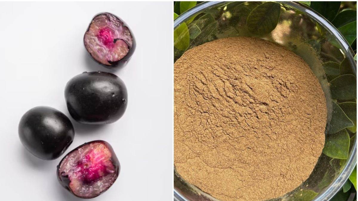 Jamun Seeds Benefits : ਸਿਹਤ ਲਈ ਬੂਸਟਰ ਤੋਂ ਘੱਟ ਨਹੀਂ ਜਾਮਨ ਦੀਆਂ ਗਿਟਕਾਂ, ਜਾਣੋ ਇਸ ਦੇ ਅਣਗਿਣਤ ਫਾਇਦੇ