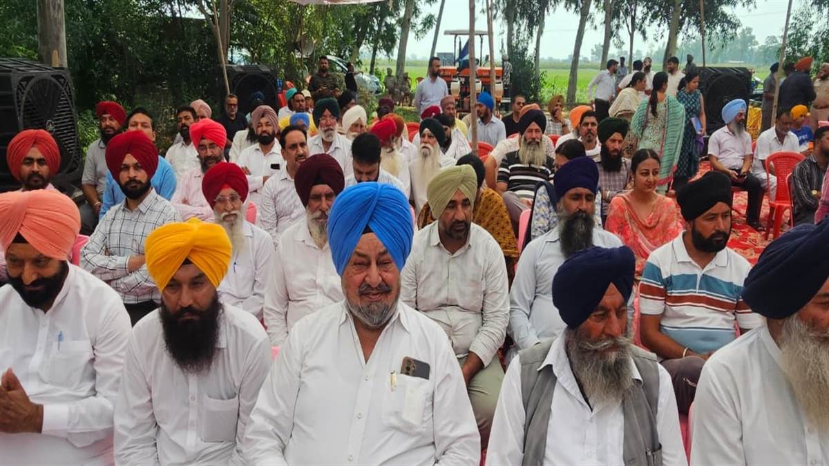 ਦੋਆਬਾ ’ਚ ਬਹਾਰ ਰੁੱਤ ਦੀ ਮੂੰਗਫਲੀ ਮੱਕੀ ਦੇ ਬਦਲ ਵਜੋਂ ਉਭਰੀ