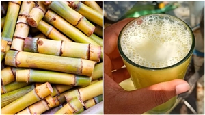 Sugarcane Juice During Pregnancy: ਗਰਭ ਅਵਸਥਾ ਦੌਰਾਨ ਗੰਨੇ ਦਾ ਰਸ ਪੀਣ ਤੋਂ ਪਹਿਲਾਂ ਇਹ ਜ਼ਰੂਰੀ ਗੱਲਾਂ ਜਾਣੋ