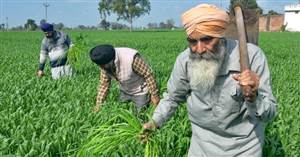 ਪੰਜਾਬ ਦੇ ਕਿਸਾਨਾਂ ਦੀਆਂ ਮੁੜ ਵਧੀਆਂ ਮੁਸ਼ਕਲਾਂ, ਮੌਸਮ ਵਿਗਿਆਨੀਆਂ ਵਲੋਂ ਆ ਗਈ ਵੱਡੀ ਚਿਤਾਵਨੀ; ਖ਼ਬਰ ਪੜ੍ਹ ਸੁੱਕਣਗੇ ਸਭ ਦੇ ਸਾਹ