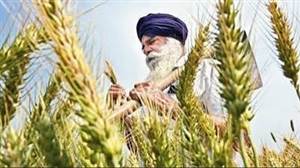 ਕਿਸਾਨਾਂ ਲਈ ਵੱਡੀ ਖ਼ਬਰ, ਜੇ ਨਾ ਬਣਾਈ ‘ਫਾਰਮਰ ਆਈਡੀ’ਤਾਂ ਨਹੀਂ ਮਿਲੇਗਾ ਇਸ ਸਹੂਲਤ ਦਾ ਲਾਭ