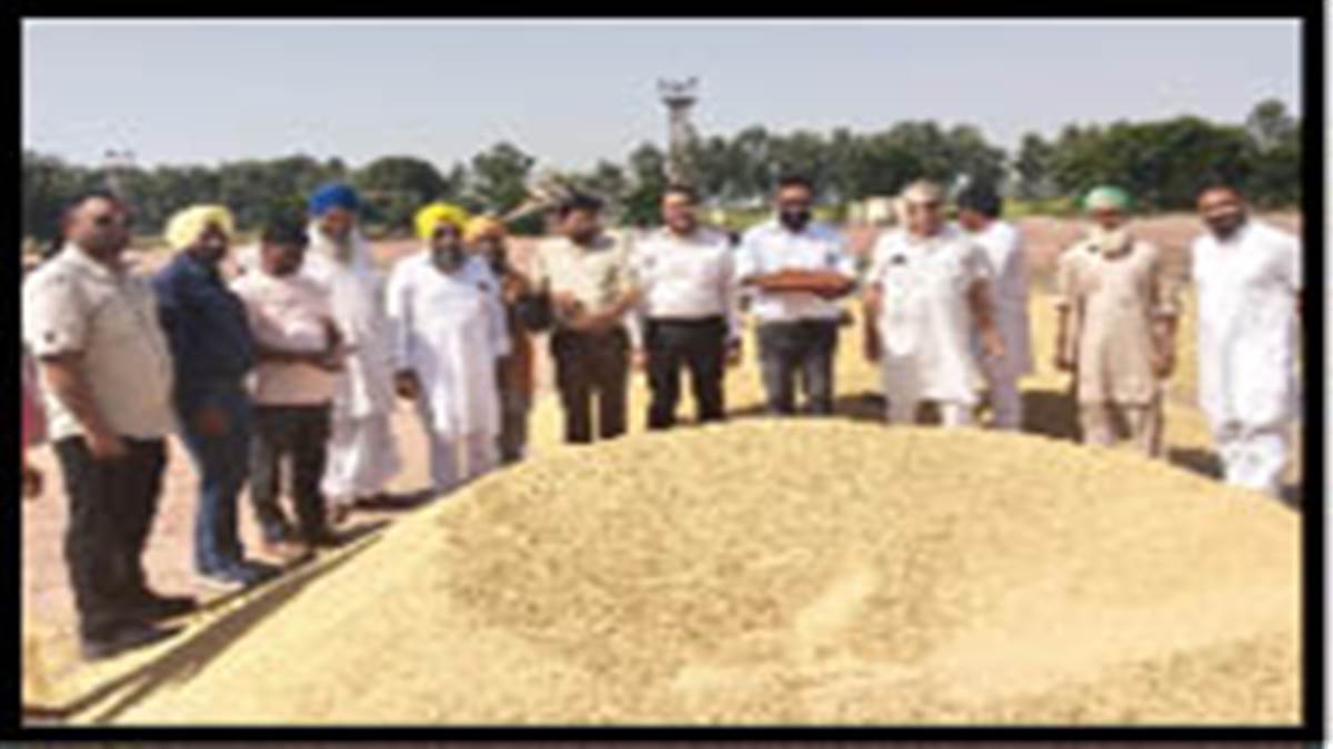 President Ajay Kumar Garg started government procurement of paddy