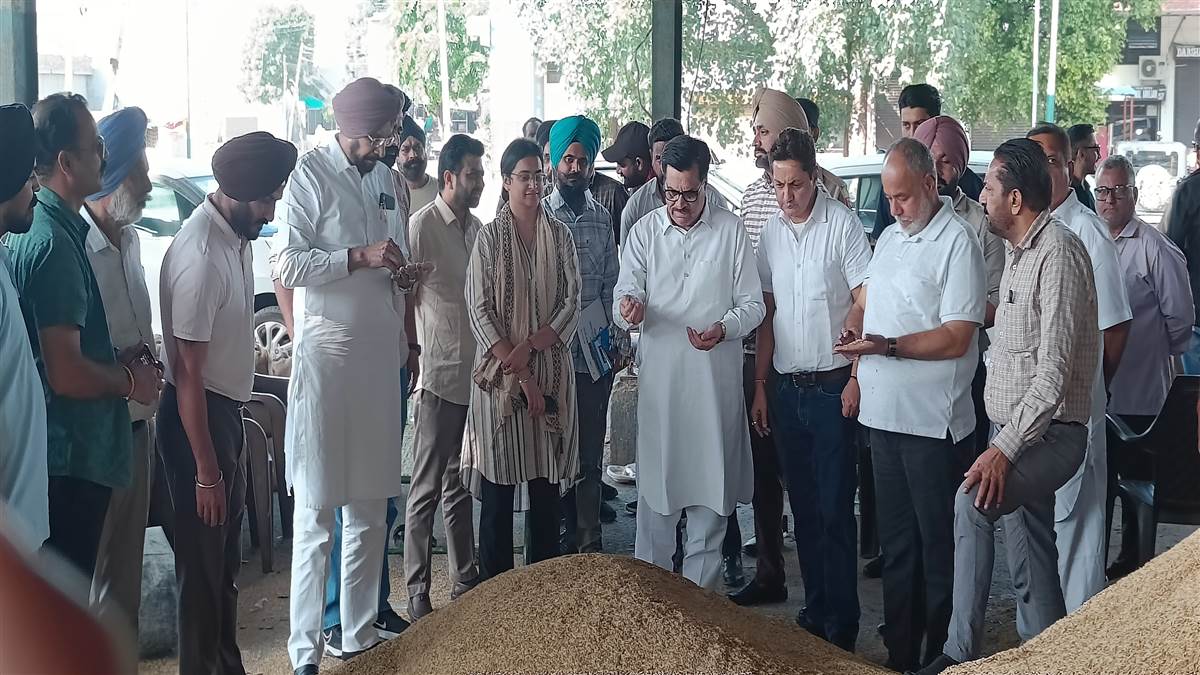 ਲੁਧਿਆਣਾ ਅਨਾਜ ਮੰਡੀ ਵਿੱਚ ਝੋਨੇ ਦੀ ਆਮਦ ਹੋਈ ਸ਼ੁਰੂ