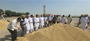 ਵਿਧਾਇਕ ਰਣਬੀਰ ਸਿੰਘ ਭੁੱਲਰ ਨੇ ਝੋਨੇ ਦੀ ਸਰਕਾਰੀ ਖ਼ਰੀਦ ਸ਼ੁਰੂ ਕਰਵਾਈ