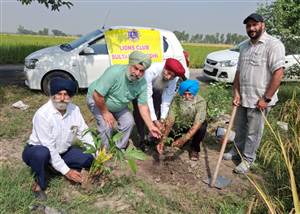 ਵਾਤਾਵਰਨ ਸਾਫ਼ ਸੁਥਰਾ ਰੱਖਣ ਲਾਓ ਵੱਧ ਤੋਂ ਵੱਧ ਬੂਟੇ : ਖਿੰਡਾ