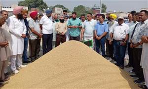 ਹਲਕਾ ਇੰਚਾਰਜ ਨੇ ਝੋਨੇ ਦੀ ਖ਼ਰੀਦ ਦੀ ਕਰਵਾਈ ਸ਼ੁਰੂਆਤ