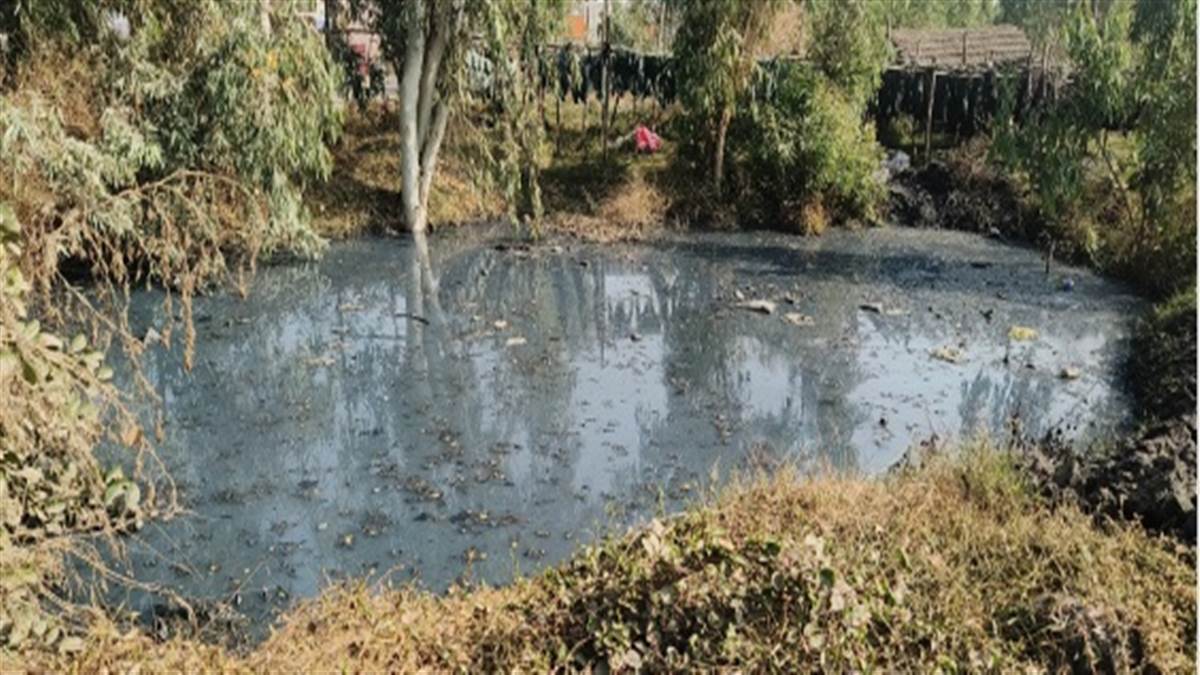 PPCB ਦੀ ਨੱਕ ਹੇਠ ਪ੍ਰਦੂਸ਼ਣ ਫੈਲਾ ਰਹੇ ਛੋਟੇ ਡਾਇੰਗ ਵਾਸ਼ਿੰਗ ਯੂਨਿਟ, ਇਲਾਕਾ ਨਿਵਾਸੀਆਂ ਨੂੰ ਵੰਡ ਰਹੇ ਨੇ ਕੈਂਸਰ ਵਰਗੀਆਂ ਬਿਮਾਰੀਆਂ ਦੀ ਸੌਗਾਤ