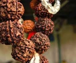 ਦੁਨੀਆ ਦਾ ਸਭ ਤੋਂ ਮਹਿੰਗਾ ਰੁਦਰਾਕਸ਼, ਕਰੋੜਾਂ 'ਚ ਹੈ ਜਿਸਦੀ ਕੀਮਤ, ਧਾਰਨ ਕਰਨ ਨਾਲ ਮਿਲਦੇ ਹਨ ਦੌਲਤ ਸਮੇਤ ਬੇਸ਼ੁਮਾਰ ਫਾਇਦੇ