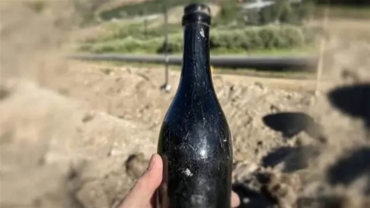 ਅਮਰੀਕਾ 'ਚ ਖੁਦਾਈ ਦੌਰਾਨ ਮਿਲੀ 150 ਸਾਲ ਪੁਰਾਣੀ ਸ਼ਰਾਬ ਦੀ ਬੋਤਲ; ਸੁਆਦ 'ਚਮੜੇ' ਵਰਗਾ
